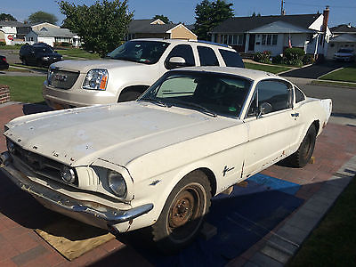 Ford : Mustang FASTBACK 1965 mustang fastback