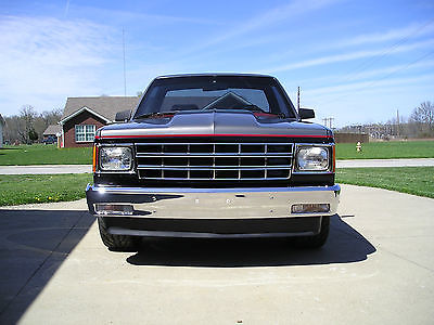 Chevrolet : S-10 Base 1984 chevy s 10 v 8 5 sp