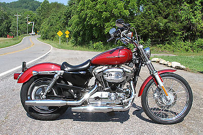 Harley-Davidson : Sportster 2006 harley davidson sportster 1200 custom excellent condition clean