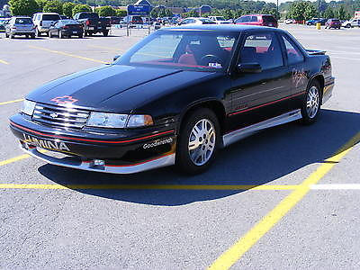 Chevrolet : Lumina DALE LIMITED EDITION DALE EARNHARDT 1991 LUMINA LIMITED EDITION EURO COUPE-JUST 5700 MILES-BEST OFFER