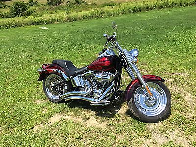 Harley-Davidson : Other 2009 harley davidson fatboy