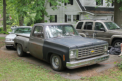 Chevrolet : C-10 2 door 1975 chevy c 10 pick up truck