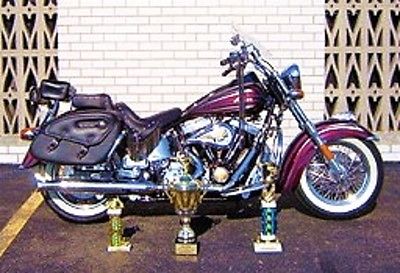 Indian : Spirit Award-Winning Indian Spirit Motorcycle