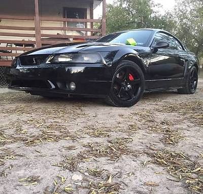 Ford : Mustang Cobra 1999 ford mustang svt cobra coupe 2 door 4.6 l