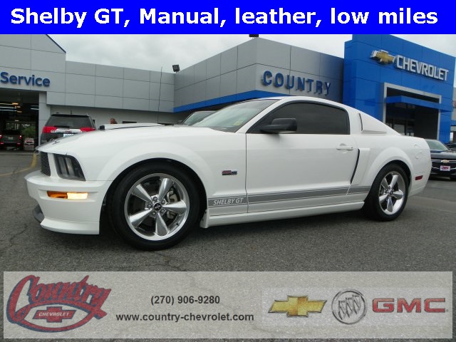 Ford : Mustang GT Coupe 2-Door 2007 ford mustang shelby gt
