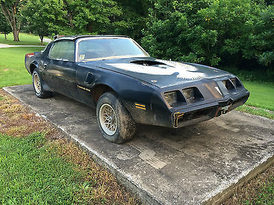 Pontiac : Trans Am 1979 pontiac trans am original paint black ws 6 403 barn find