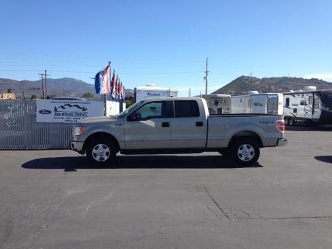 2010 FORD F