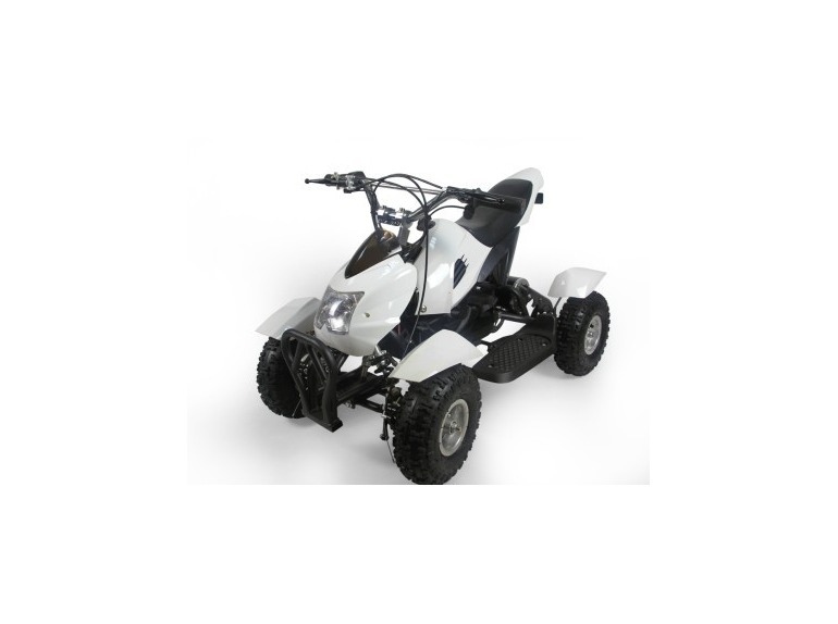 2014 Gobowen Brand New 350w 24v GOBI Electric ATV Quad