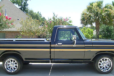 Ford : F-100 2 Door 1976 ford antique pickup truck