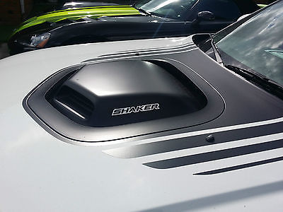 Dodge : Challenger Shake Edition 2014 dodge challenger r t coupe 2 door 5.7 l