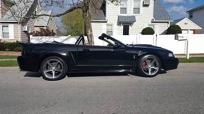 Ford : Mustang SVT Cobra 1999 cobra mustang convertible