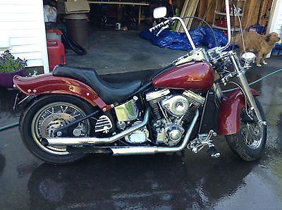 Custom Built Motorcycles : Other 2003 custom soft tail with s s engine