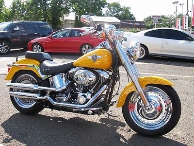 Other Makes 2011 harley davidson fatboy softail