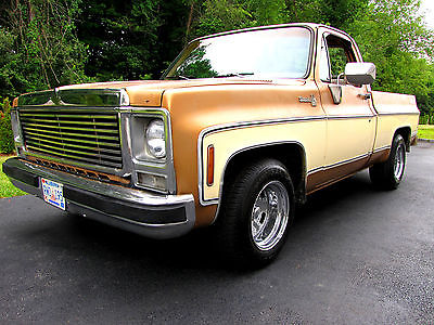 Chevrolet : C-10 SHORT BED HOT ROD 1979 chevrolet c 10 silverado short bed built 383 v 8 patina shop truck hot rod