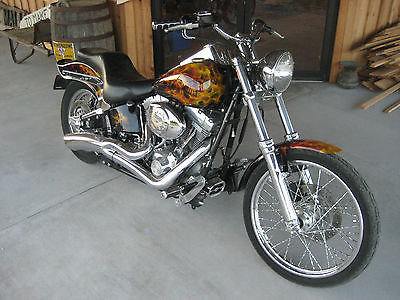 Harley-Davidson : Dyna 2002 harley davidson dyna