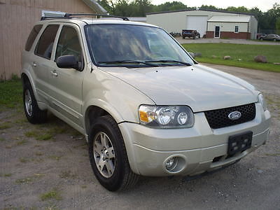 Ford : Escape 05 ford escape limited light green runs good needs body work