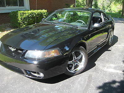 Ford : Mustang Cobra SVT 1999 ford mustang svt cobra supercharged