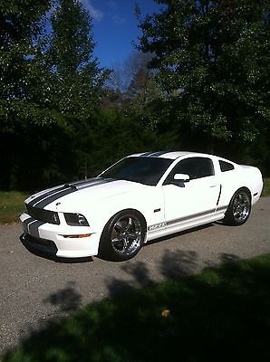 Ford : Mustang Shelby GT/SC Coupe 2-Door 2007 ford mustang shelby gt sc coupe 2 door 4.6 l super charged