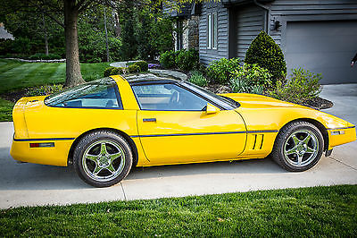 Chevrolet : Corvette coupe Beautiful 1984 Chevy Corvette newer paint job and wheels