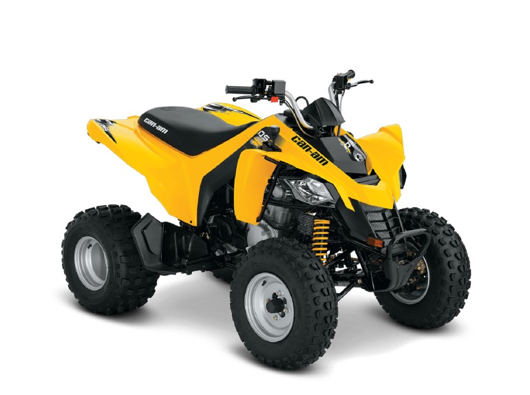 2016 Can-Am DS 250®
