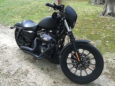 Harley-Davidson : Sportster 2009 iron 883 with only 10 k miles