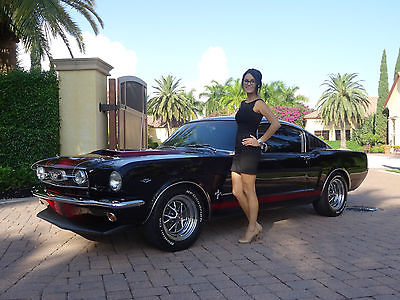 Ford : Mustang 2+2 1965 mustang fastback matching show car
