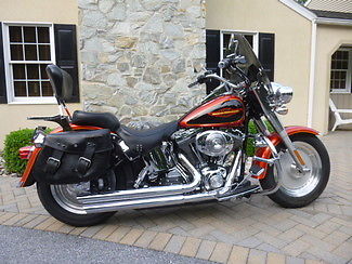 Harley-Davidson : Softail 2005 flstf softail fat boy