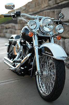 Harley-Davidson : Softail Custom 2008 Softail Deluxe FLSTN