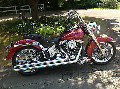 Harley-Davidson : Softail Gorgeous, meticulously maintend custom-built Harley-Davidson Softail, Low Miles