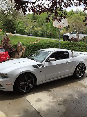 Ford : Mustang Saleen 2014 ford mustang saleen white label 63