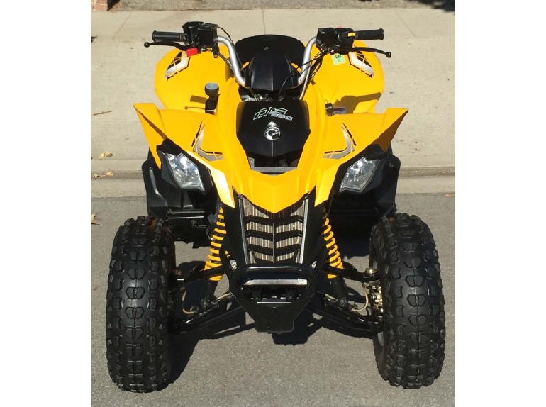 2009 Can-Am Ds 250