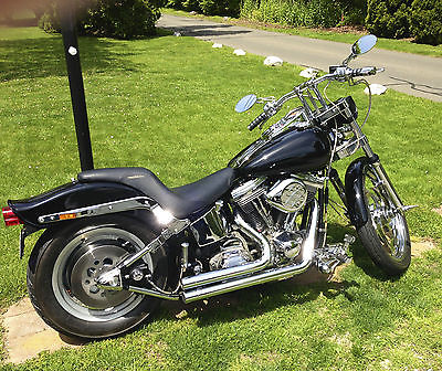 Other Makes : Softail 2005 custom softail