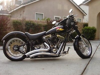 Custom Built Motorcycles : Chopper Custom Lowrider Motorcycle