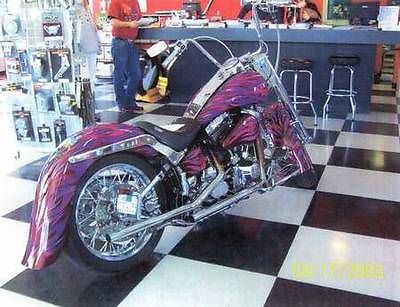 Harley-Davidson : Softail Harley Davidson (Ron Sims) (Airbrushed/Paint by Horst)