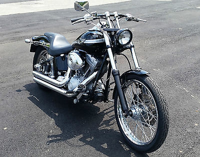 Harley-Davidson : Softail Black Softail Standard