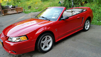 Ford : Mustang SVT Cobra  Mustang Cobra SVT Convertible 1999 Low Miles Excellent Condition