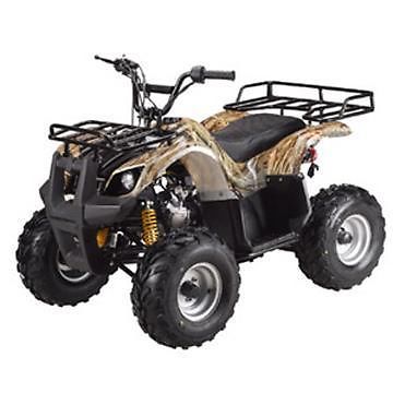 TAO TAO ATV 150D