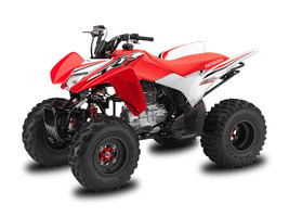 2017 Honda TRX 250X SE