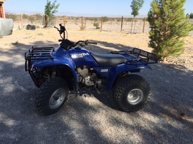 1994 Honda Trx 300