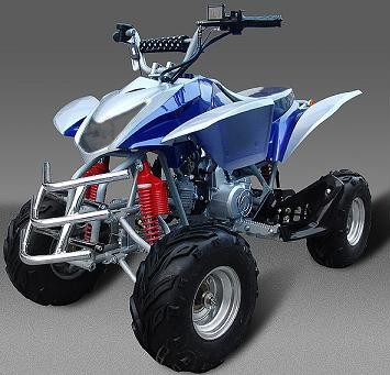 2015 Tao Tao 110cc Assassin 4 Stroke ATV For Sale