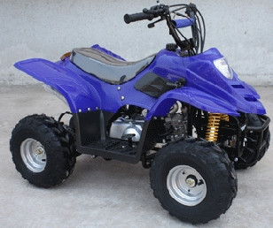 2014 Tao Tao 110cc Elite Fully Assembled Automatic Kids ATV W/ Chain