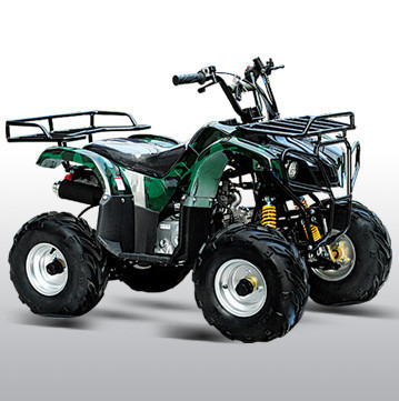 2014 Tao Tao 110 CC Type-X Utility 4 Stroke Kids ATV