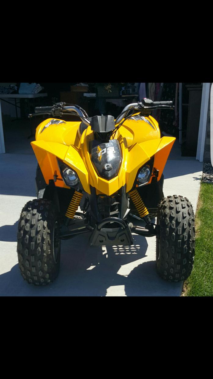 2013 Can-Am Ds 90