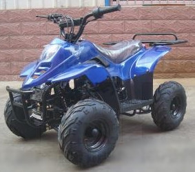 2014 Tao Tao 110cc Spider-SE Fully Auto Kids ATV