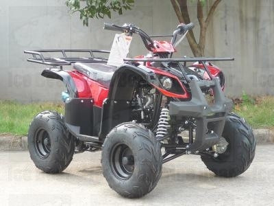 2014 Tao Tao 110cc Type X-SE Kids ATV