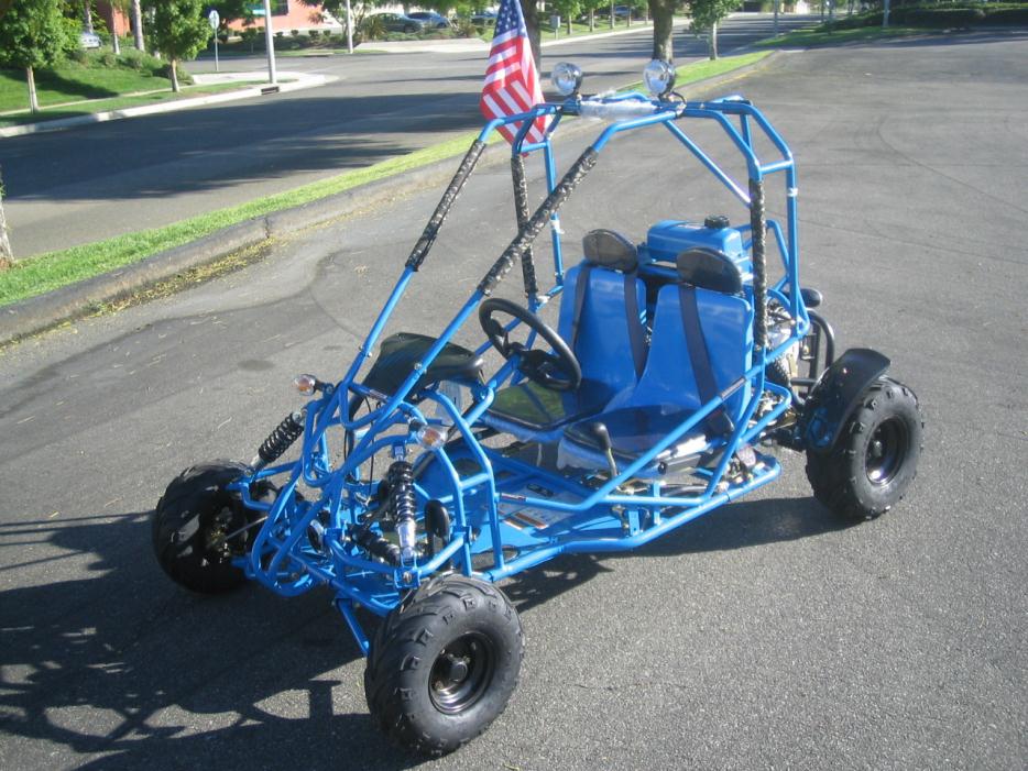 2015 Tao Tao 110cc Spider Go Kart For Sale