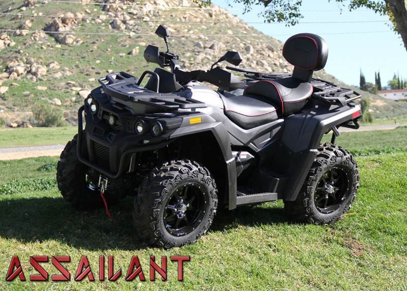 2016 Odes ASSAILANT 800 2 Seater