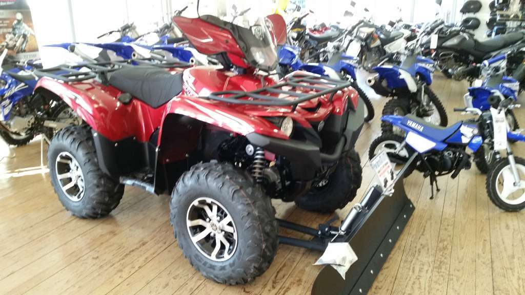 2016 Yamaha Grizzly EPS LE