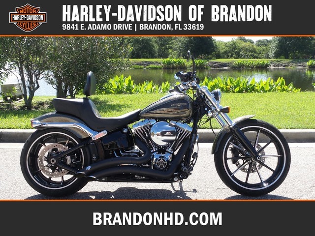 2010 Harley Davidson Triglide