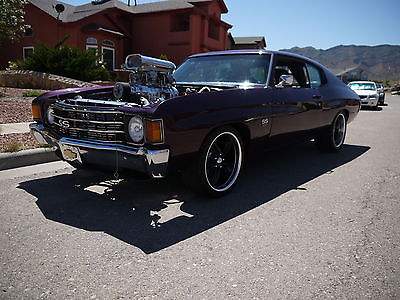 Chevrolet : Chevelle Hardtop Pro Street Supercharged Blown Big Block 454 Chevelle, ONLY ONE ON EBAY!